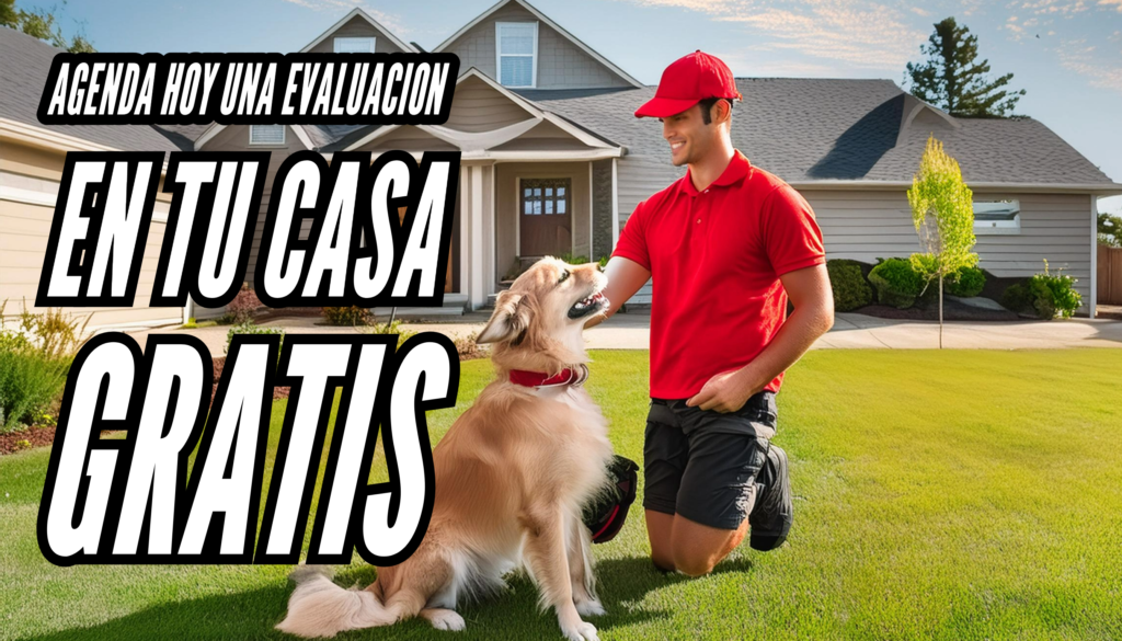 Evaluación canina Gratis